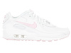 Buty Nike Air Max 90 LTR (GS) CD6864-121