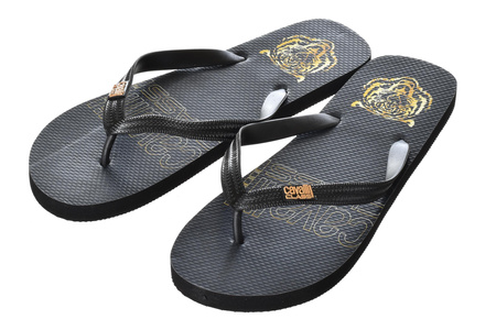 JAPONKI CAVALLI CLASS HOME -D001079-B001