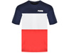 T-shirt męski Puma Celebration (585046-06)
