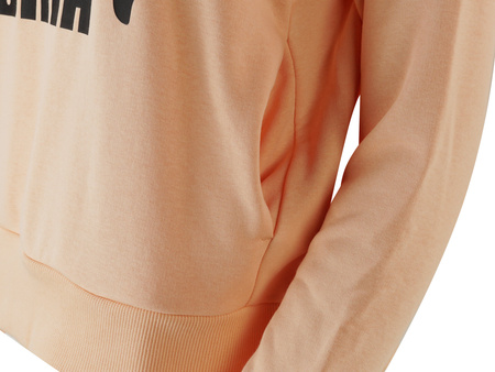 Bluza z kapturem Puma Classic Logo Hoody (595915-88)