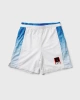 REEBOK - SZORTY SPORTOWE MĘSKIE - BB IVERSON BBALL SHORT HG4339