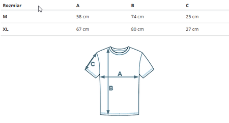 REEBOK - KOSZULKA UNISEX CL GRFX TEE IC9181