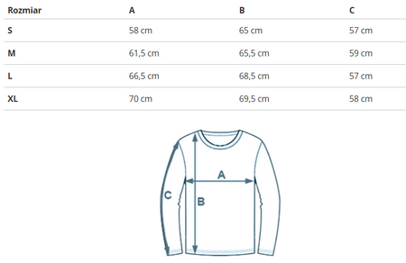 REEBOK - BLUZA DAMSKA CL AE ARCHIVE FIT CREW IC8097