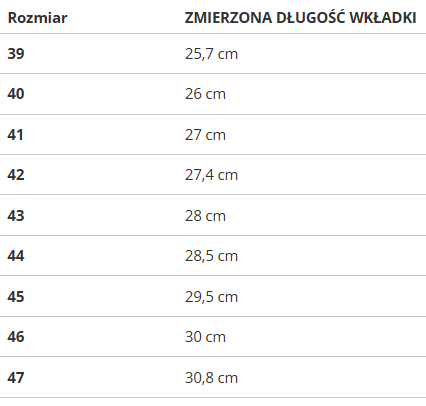 Buty męskie Puma Morphic 392724-01