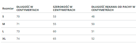 Bluza męska Puma Essentials Big Logo 586678-06