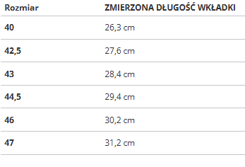 Buty męskie Puma Softride On4all 377671-02