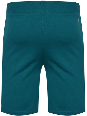 U.S. POLO ASSN. - MĘSKIE SZORTY HARL 131 65320 52319 234