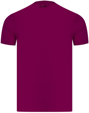 U.S. POLO ASSN. - T-SHIRT MĘSKI - LUCA 154 67517 50313 375