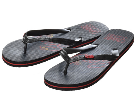 JAPONKI CAVALLI CLASS HOME - D001078-B001