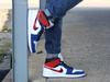 AIR JORDAN 1 MID SE (852542-146)