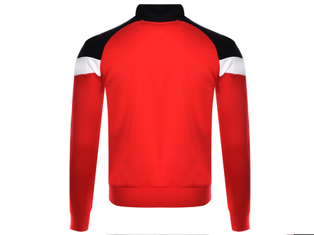 Bluza męska Puma Iconic MCS Track (595925-11)