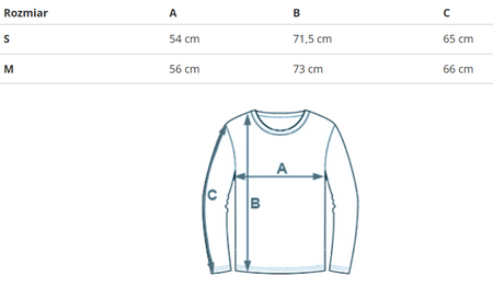 REEBOK - LONGSLEEVE MĘSKI - CL SKATELS TEE HT8175