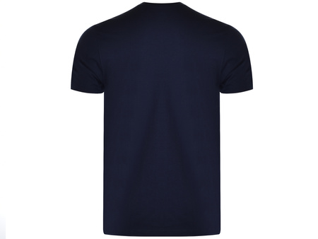 U.S. POLO ASSN. - T-SHIRT MĘSKI - CICK 154 67949 53674 179