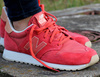 NEW BALANCE (WL520BC)