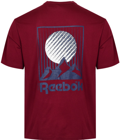 REEBOK - KOSZULKA UNISEX CL GRFX TEE IC9181