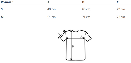 REEBOK - T-SHIRT KOSZULKA MĘSKA - MELANGE TEE HR6147