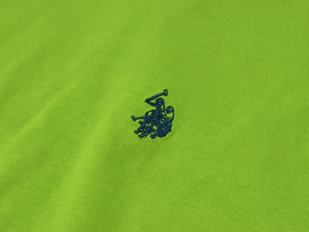 U.S. POLO ASSN. - T-SHIRT MĘSKI NATI 154 66894 49351 341